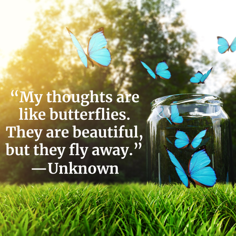Butterfly Thoughts