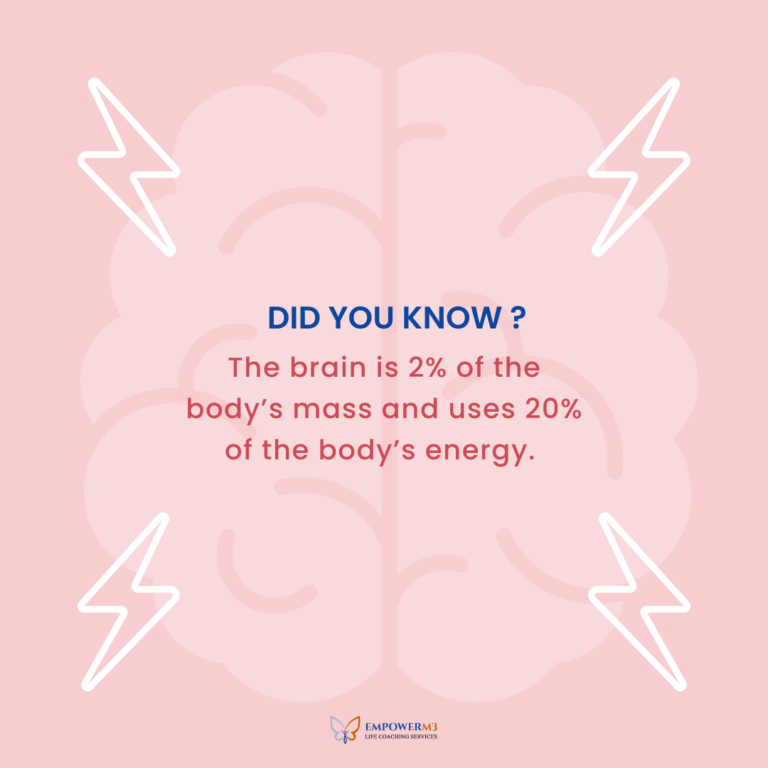 Did You Know? Brain Facts